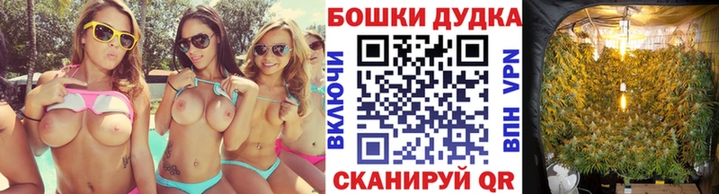 Конопля план  Купить закладки  Мензелинск 